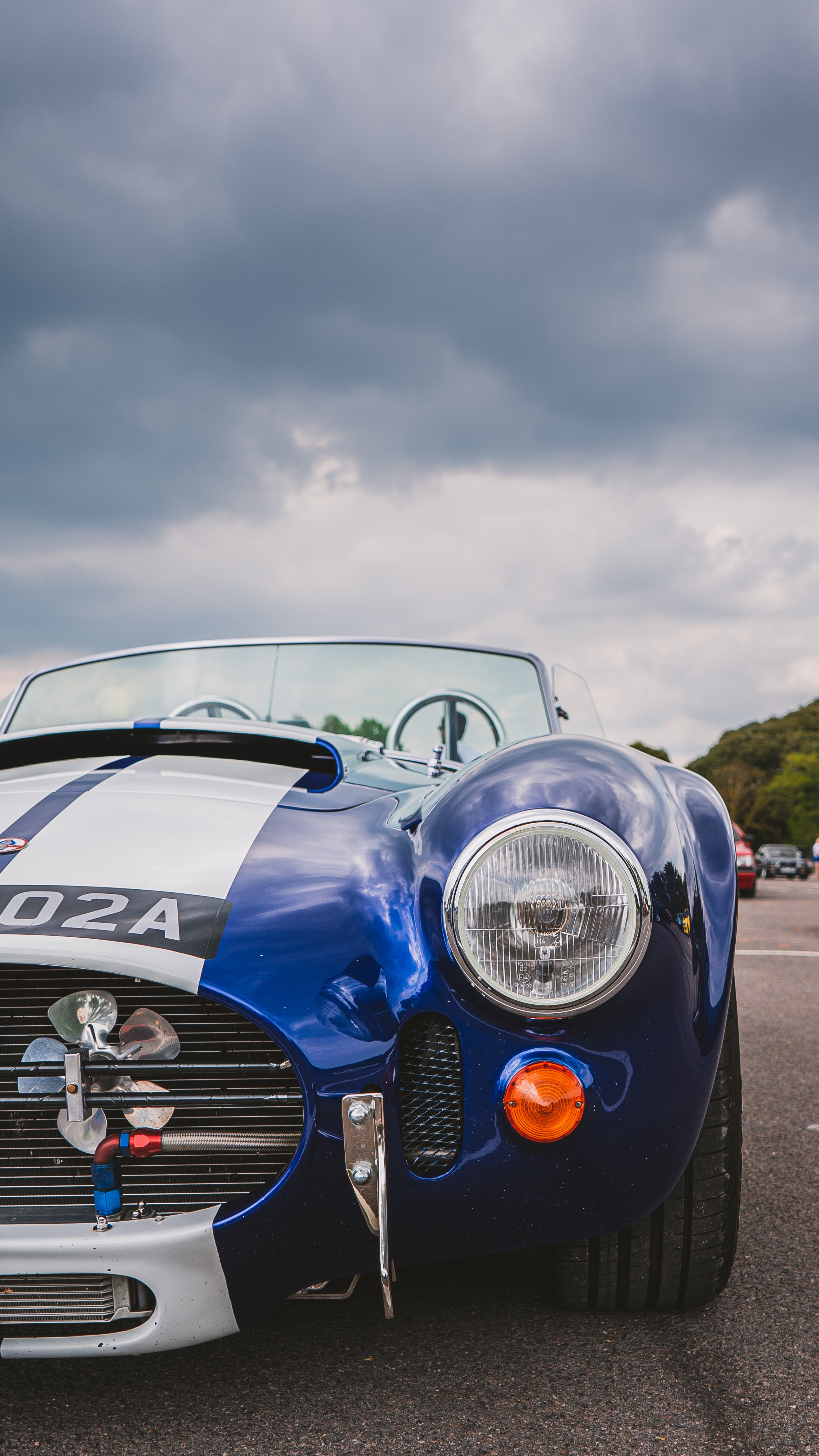 Cobra Replica